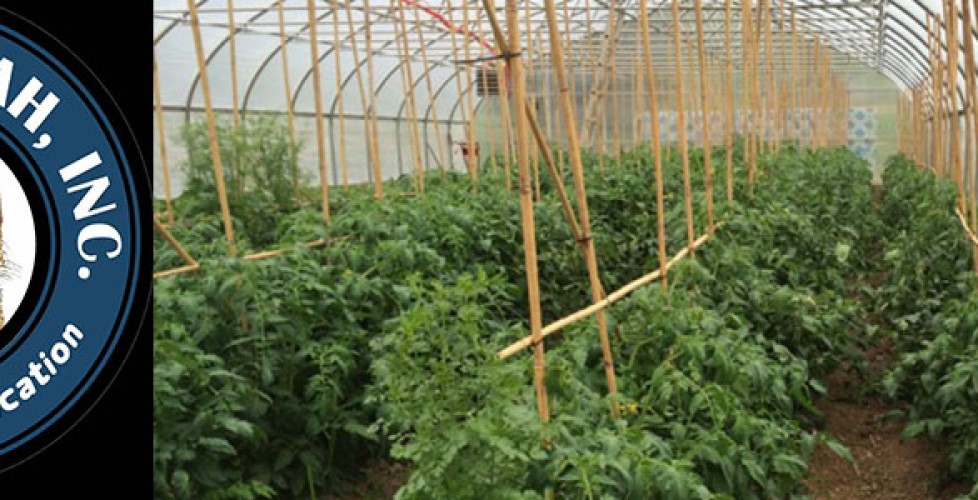 High Tunnel Greenhouse